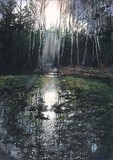 by maria mamczur