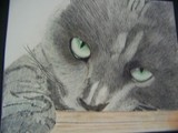 by stephanie nicholsons