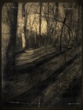 by Kathleen Davis