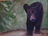 by claudia schmidt