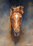by sean mcmahon