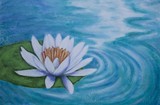 by Lisa Wolfin