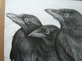 by Brandy Gentile