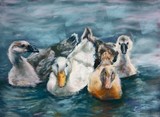 by Joan  Wulff