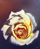 by gyuri ohmuller
