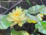 by Kathy Schoeppner