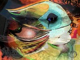 by Delma Godoy