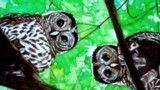 by Karen Sargent