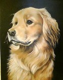 by Debbie PIke