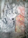 by Reed Charles