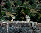 by International Photo Exhibition