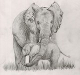 by Kayleigh Mills