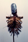 by Stacey Wexler