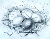 by Hedwig Pen