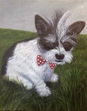 by Linda Mowat