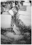 by Waldemar Szysz