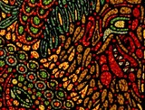 by samuel bohorquez