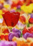 by Auber Fiori