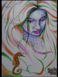 by raphael diniz