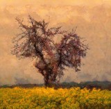 by Pavel Potocek