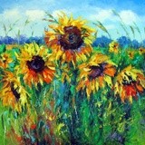by OLHA Darchuk
