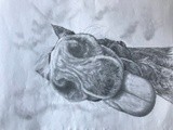 by Halina Lynch