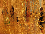 by Sylvia Jackovitch- Kallay