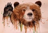 by Dana Condel