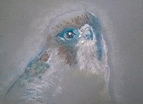 by Dana Koffenberger