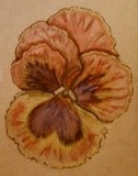 by Dana Koffenberger