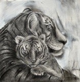 by Mita Vora