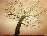 by Sara Carrington