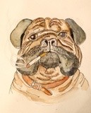 by Hessley Ooi
