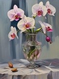 by Mihaela B