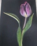 by Cristea Mihaela