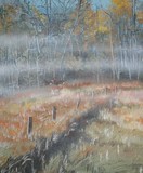 by Gayle Taylor