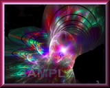 by Kay L. Schlagel