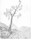 by S. JoBeth  Sexton