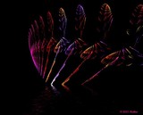 by Ruthee Easton
