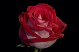 by Marilyn Soper