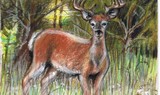 by Terri Walker