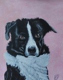 by Cathie Brock
