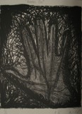 by Tom C. Lehr