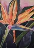 by Cyndy  Rice