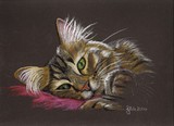 by Jennifer Redstreake