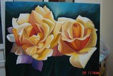 by Said Ali Sowafy