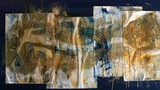 by Cassandra-lyn Palmer