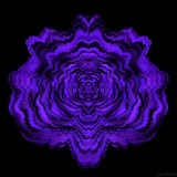 by JENNIFER DEFRIN