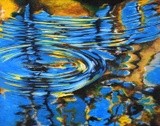 by Kristy Hawkes