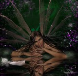 by Sandy Wiech